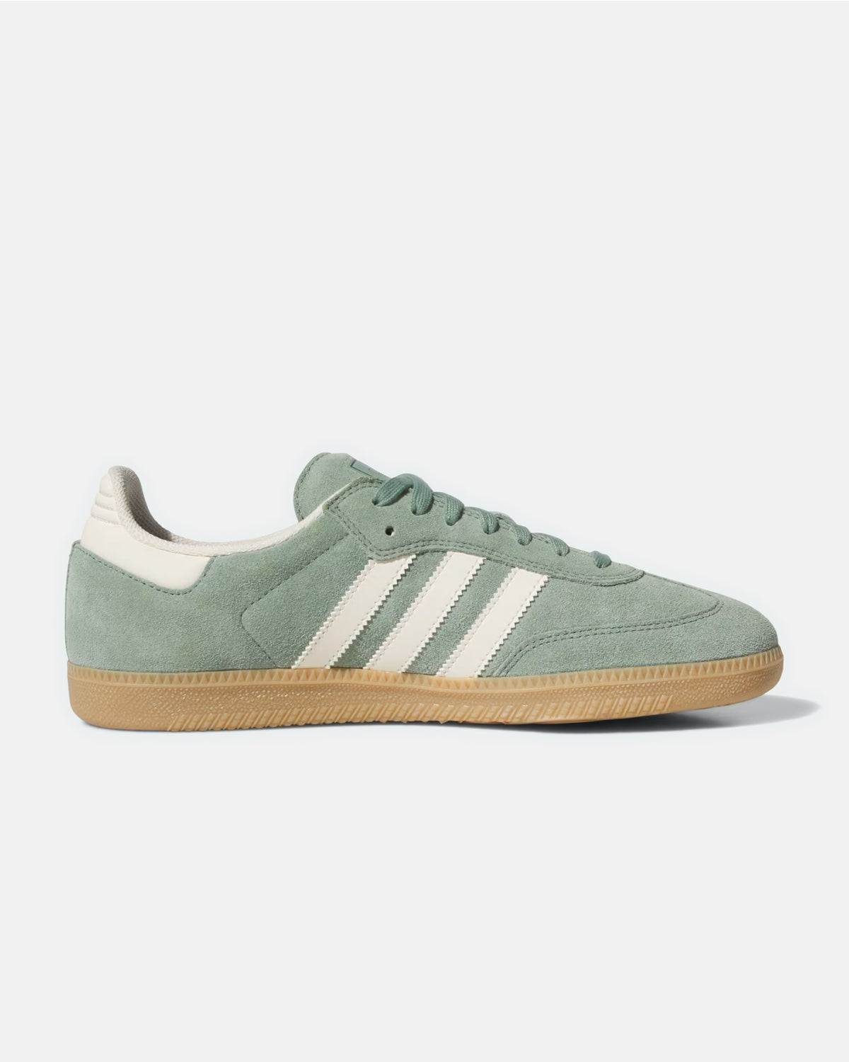 Samba ‘Silver Green Wonder White’