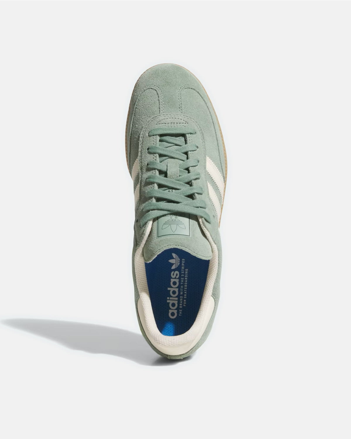 Samba ‘Silver Green Wonder White’