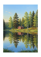 "Zweeds huisje" poster