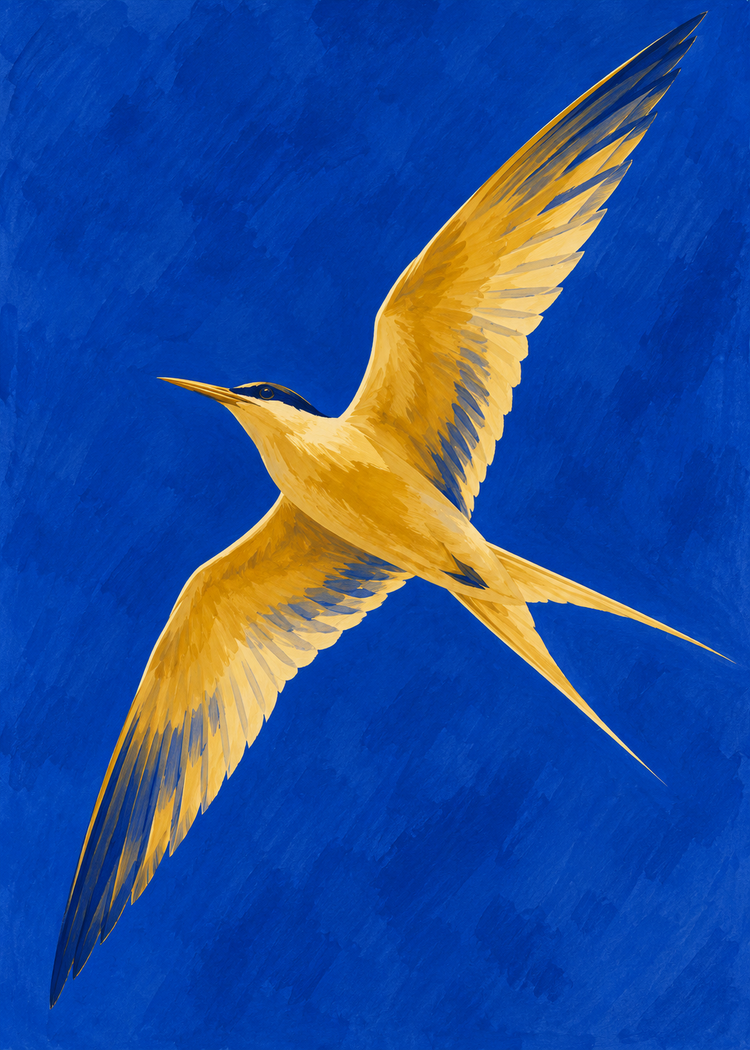 „De draai van de stern” Poster